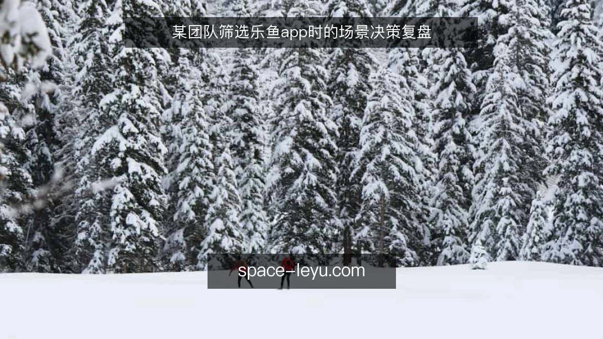 某团队筛选乐鱼app时的场景决策复盘