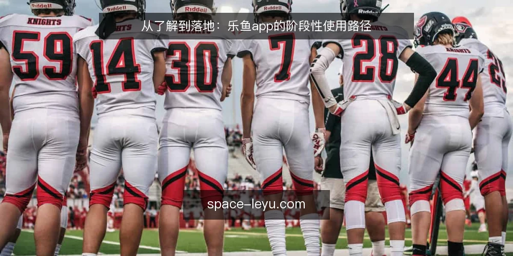 从了解到落地:乐鱼app的阶段性使用路径 — 基线:明确需求与使用边界 配图