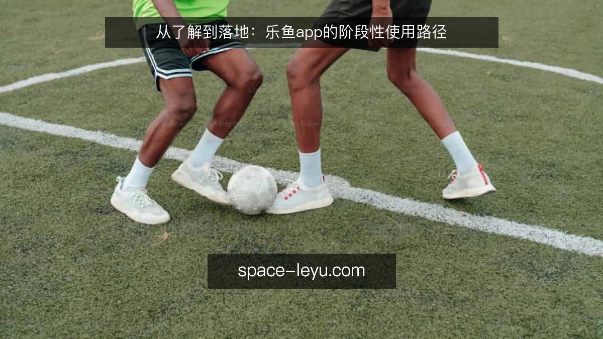 从了解到落地：乐鱼app的阶段性使用路径