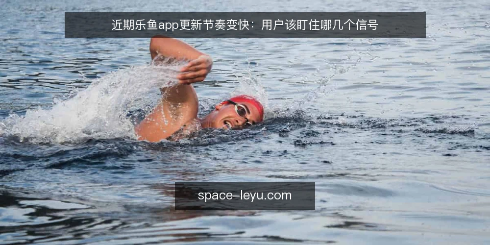 近期乐鱼app更新节奏变快：用户该盯住哪几个信号 — 信号一：版本更新频率与公告一致性 配图