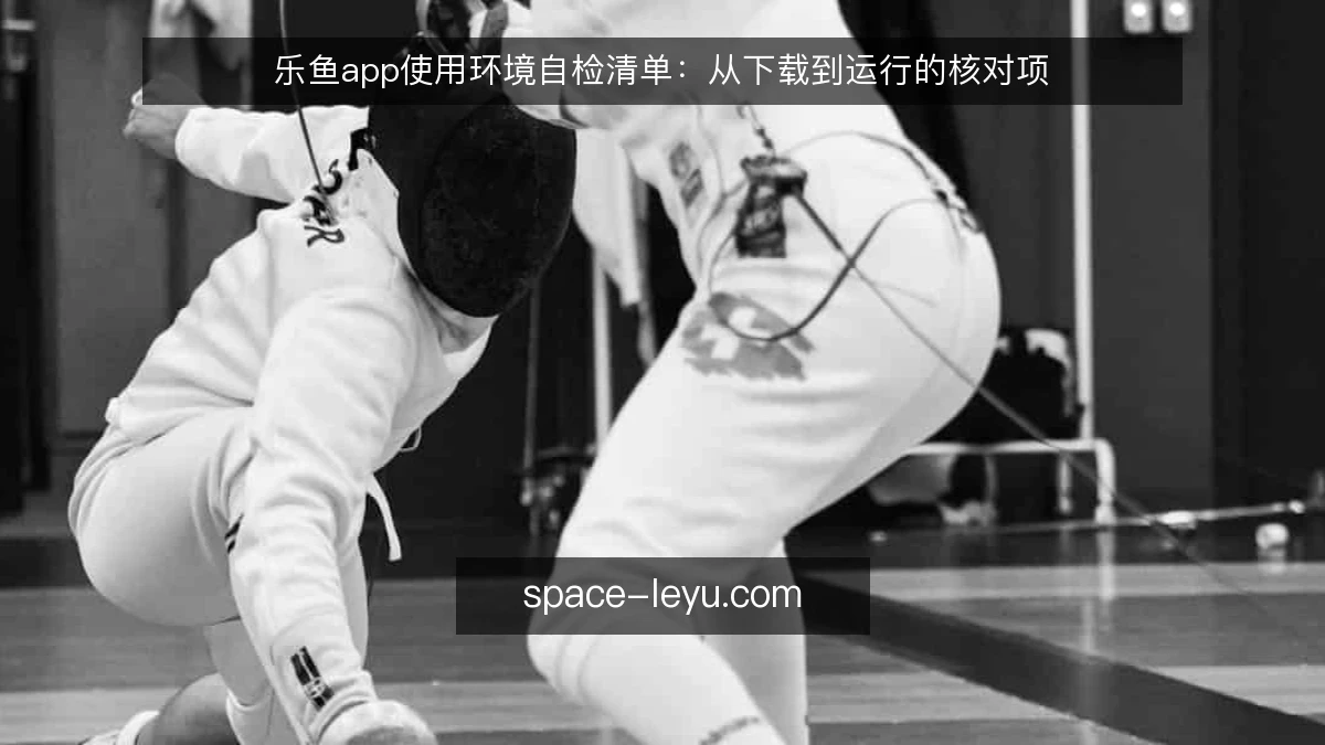 乐鱼app使用环境自检清单：从下载到运行的核对项