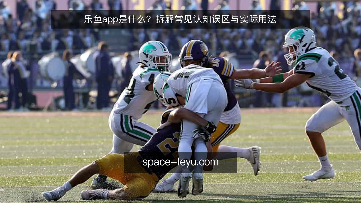 乐鱼app是什么？拆解常见认知误区与实际用法